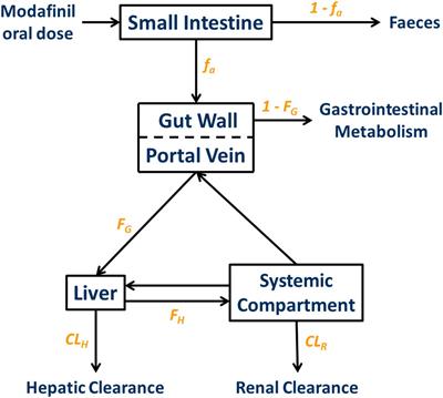 Optimized Cocktail Phenotyping Study Protocol Using Physiological Based Pharmacokinetic Modeling and In silico Assessment of Metabolic Drug–Drug Interactions Involving Modafinil